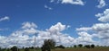 Farm and Wire pole plants and blue sky and cloud! Royalty Free Stock Photo