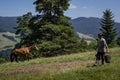 A farm worker carrying buckets and a free running horse at the farm in the mountains.