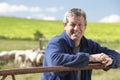 Farm Worker With Flock Of Sheep