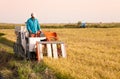 Farm worker harvesting rice Royalty Free Stock Photo