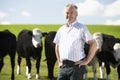 Farm Worker With Herd Of Cows