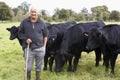 Farm Worker With Herd Of Cows