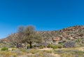 Farm worker houses on the Rooibos Heritage Route