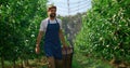 Farm worker transporting boxes with harvest in sunny impressive garden smiling