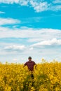 Farm worker wearing red plaid shirt and trucker`s hat standing in cultivated rapeseed field in bloom and looking over crops