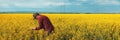 Farm worker wearing red plaid shirt and trucker`s hat standing in cultivated rapeseed field in bloom and looking over crops