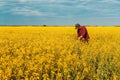 Farm worker wearing red plaid shirt and trucker`s hat standing in cultivated rapeseed field in bloom and looking over crops