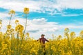 Farm worker wearing red plaid shirt and trucker`s hat standing in cultivated rapeseed field in bloom and looking over crops