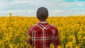 Farm worker wearing red plaid shirt and trucker`s hat standing in cultivated rapeseed field in bloom and looking over crops, rear