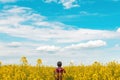 Farm worker wearing red plaid shirt and trucker`s hat standing in cultivated rapeseed field in bloom and looking over crops, rear