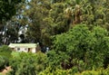 A farm workers house idyllically set in a blue gum forest Royalty Free Stock Photo