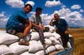 Farm workers in Kosovo. Royalty Free Stock Photo