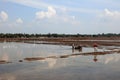 Farm workers plough the wet paddy fields