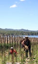 Farm workers tending the land at Lake Batur