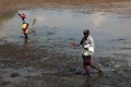 Farm workers  throw fertilizer in the paddy fields Royalty Free Stock Photo