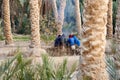 Farm workers warm up in the cold morning air by a fire among the palm trees of the date grove Royalty Free Stock Photo