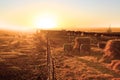 Farm yard Royalty Free Stock Photo