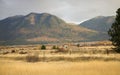 Farm Yellow Aspens Hills Fall Colors Montana Royalty Free Stock Photo