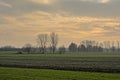 Farmland with bare trees under a cloudy evenig sky with dark clouds and yellow glow in the Flemish countryside