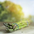 Farmed Organic Asparagus Royalty Free Stock Photo