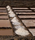 Farmed Sea Salt at the Museum of Salt Caleta Fuerteventura