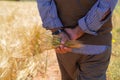 Farmer or agriculturist man holding some wheat ears Royalty Free Stock Photo