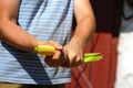 Farmer or agronomist in the corn field holding golden ripe cob after the harvest. Impotence and men& x27;s health. Sexual