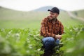 Farmer agronomist on a growing green soybean field. Agricultural industry