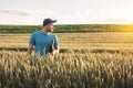 Farmer agronomist in a wheat field. Man with folder in an agricultural field