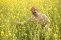 Farmer with arms outstretched in rapeseed field Royalty Free Stock Photo