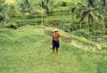 A farmer with a basket and holding a coconut works on a green rice terrace. Retro film capture