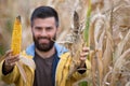 Farmer showing corn cobs Royalty Free Stock Photo