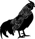 Farmer bird cock. Bird cock. Rooster black silhouette vector isolated on white background. Royalty Free Stock Photo