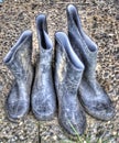 Farmer boots Royalty Free Stock Photo