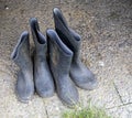 Farmer boots Royalty Free Stock Photo