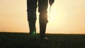 farmer in boots walks the farm close-up at sunset with a tablet in his hands, the concept of work in agriculture, the Royalty Free Stock Photo