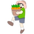 Farmer boy is harvesting carrots in a large garden