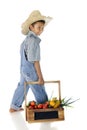 Farmer Boy with Veggies Royalty Free Stock Photo