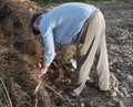 Farmer burning dried branches Royalty Free Stock Photo