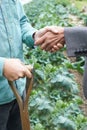 Farmer And Businessman Shaking Hands Royalty Free Stock Photo