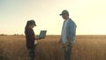 A farmer and a businessman talk in a wheat field, make a deal, use a tablet. Two business farmers, a man and woman Royalty Free Stock Photo