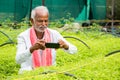 Farmer capturing photos of crop saplings or plants at greenhouse or polyhouse to check about plant gowth or pest on internet - Royalty Free Stock Photo