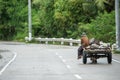 A farmer on a carriage, Capas, Philippines Royalty Free Stock Photo