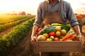 Farmer carries fresh produce and harvested vegetables at sunrise