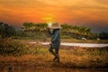 Farmer carry the saplings rice move to padding fields. beautiful countryside view. the most agriculture economy of Asian. Househol