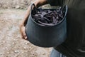 Farmer carrying a basket full of carob beans