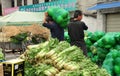 Pengzhou, China: Farmer Carrying Cabbages Royalty Free Stock Photo