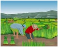 Farmer cartoon shape work in paddy field Royalty Free Stock Photo