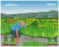 Farmer cartoon shape work in paddy field Royalty Free Stock Photo