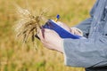 Farmer with cereal and folder on the field